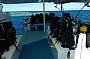 3 Day Cod Hole and Ribbon Reefs Dive Trip - Ocean View Standard