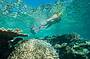 Outer Reef Cruise + 1 Dive Package