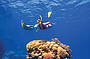 2 Day Reef & Rainforest Package