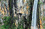 Purlingbrook Falls