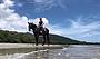 Cape Trib Horse Rides (8am)