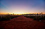 Uluru Sunrise & Field of Light