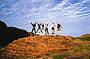 Kings Canyon tour group