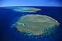 The breathtaking Opal Reef