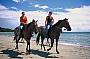 Cape Trib Horse Rides (8am)
