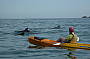 Dolphin Kayak Tour